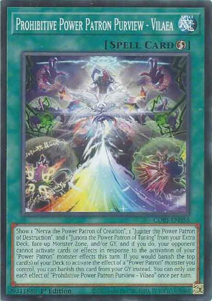 Prohibitive Power Patron Purview 